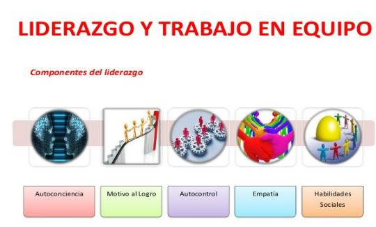 Preparación > Equipo de Diseño | NSDS GUIDELINES
