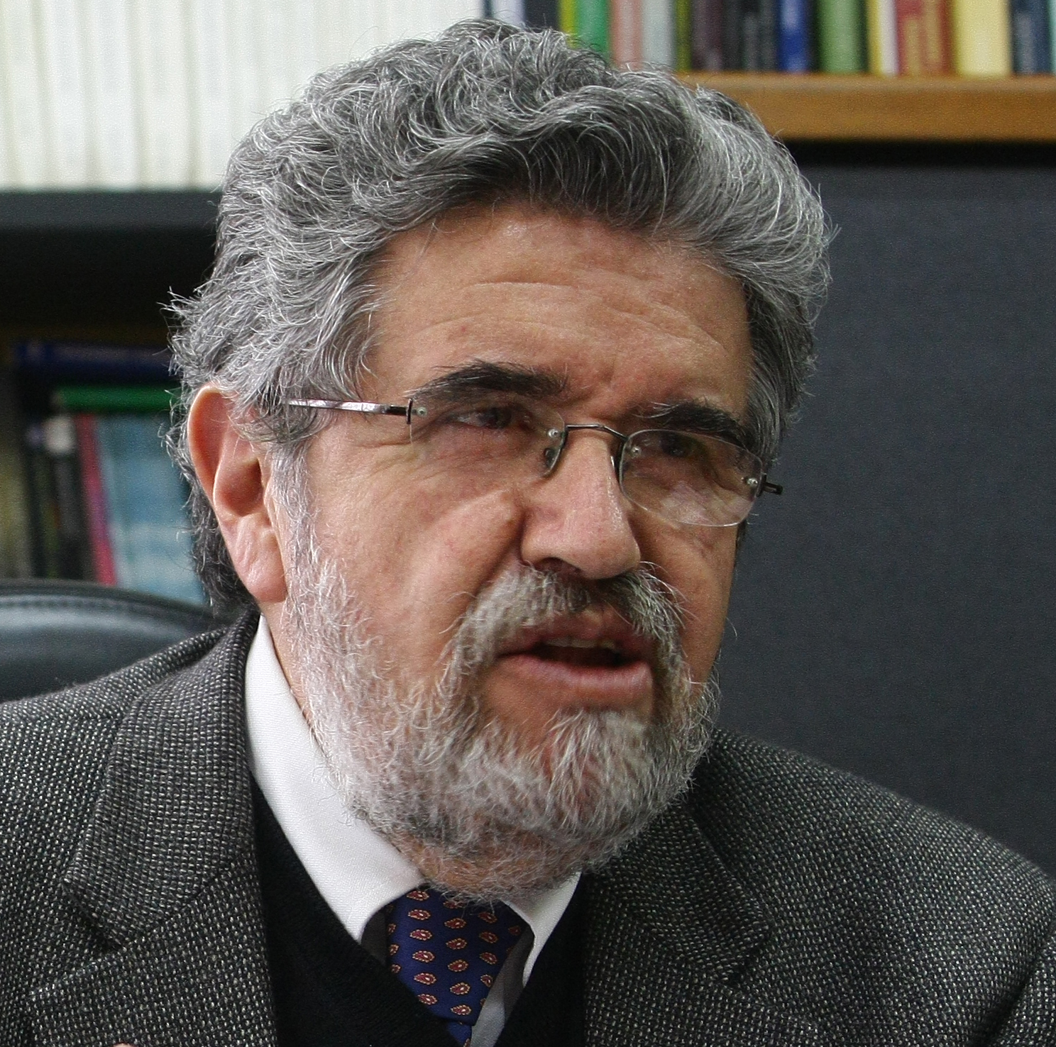 Efraín Gonzales de Olarte